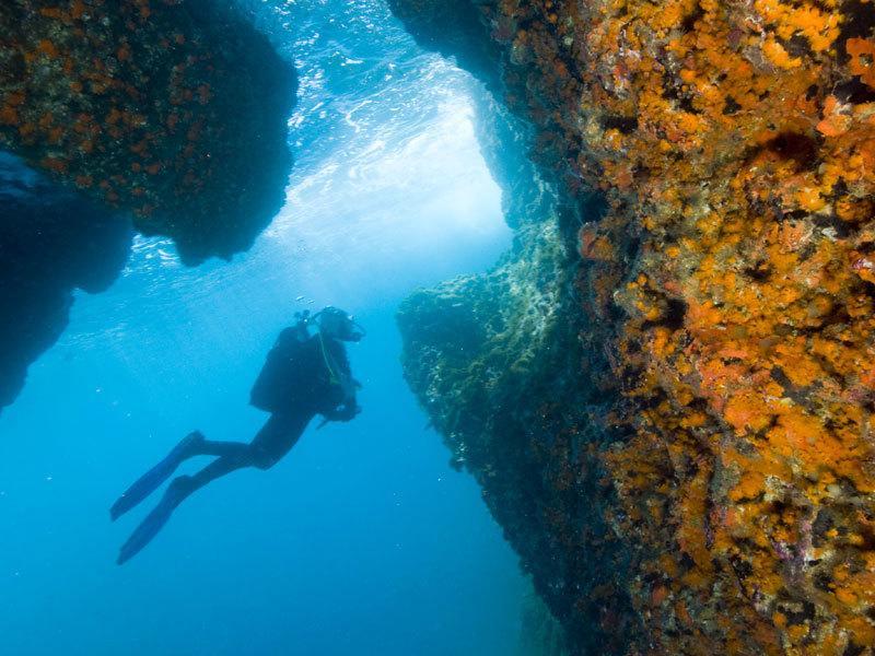 Ortigia L'Antico Dammuso Διαμέρισμα Συρακούσες Εξωτερικό φωτογραφία